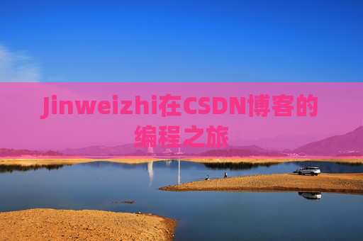 Jinweizhi在CSDN博客的编程之旅